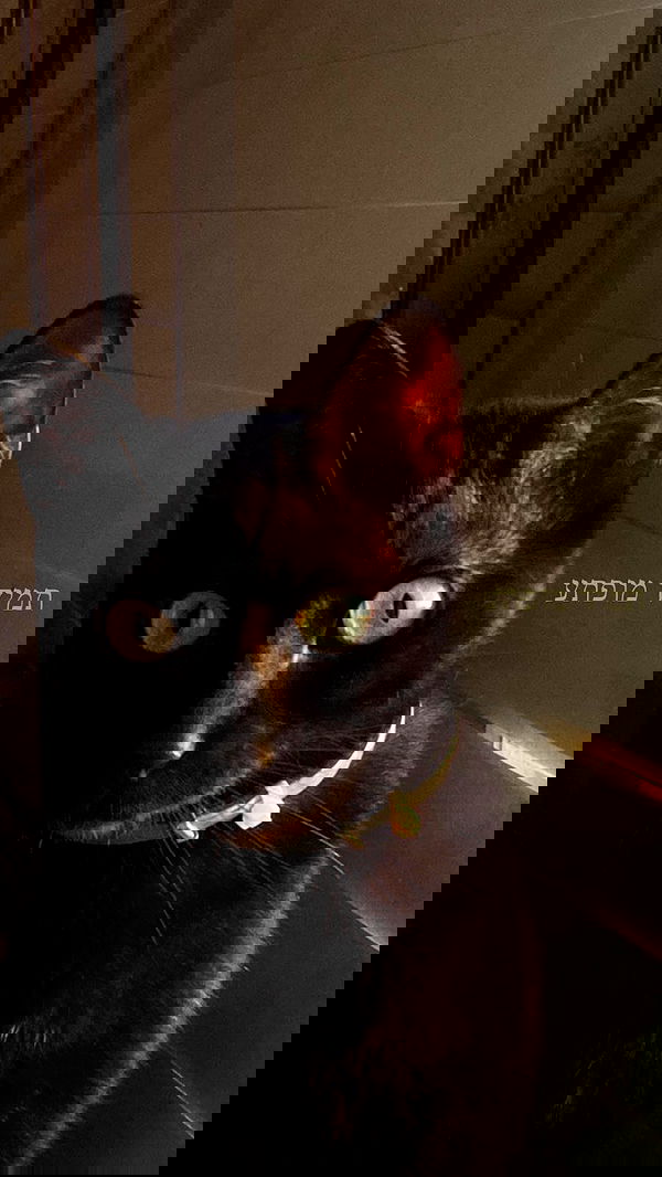 feelbetterinmysweater feelbetterinmysweater archive image