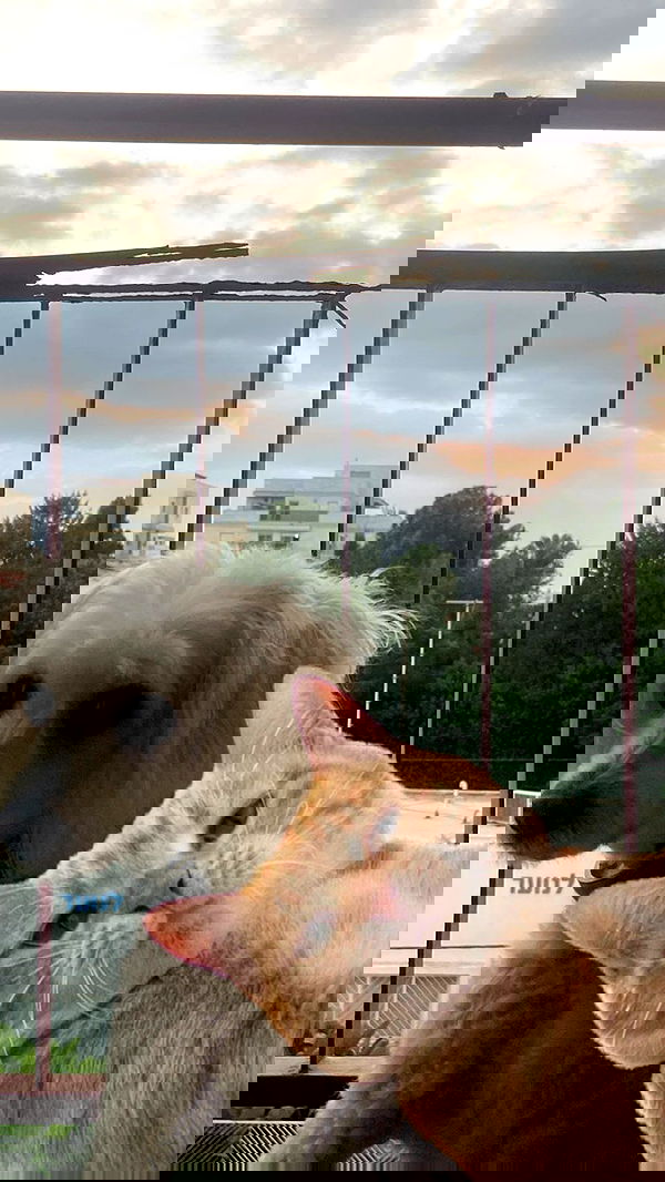 feelbetterinmysweater feelbetterinmysweater archive image