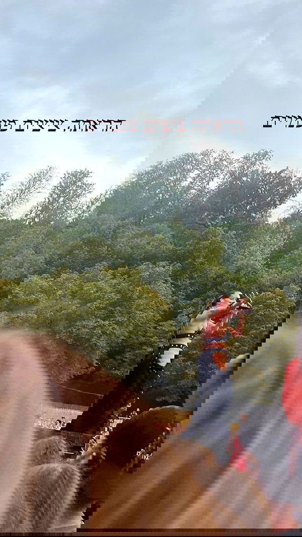 feelbetterinmysweater feelbetterinmysweater archive image