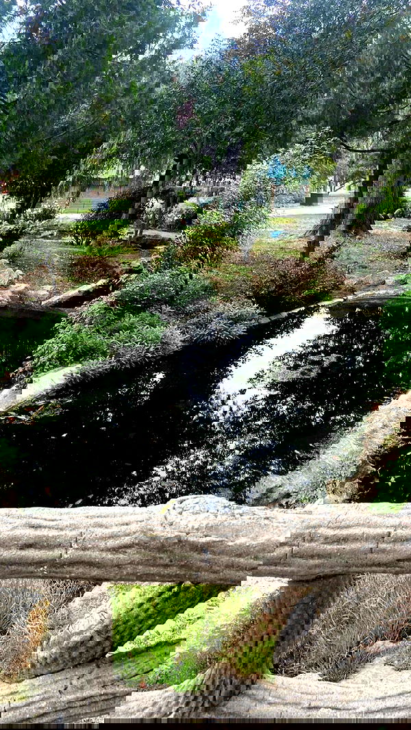 feelbetterinmysweater feelbetterinmysweater archive image