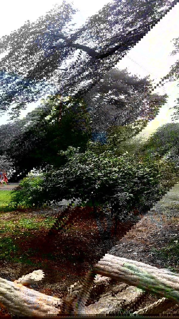 feelbetterinmysweater feelbetterinmysweater archive image