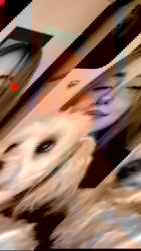 feelbetterinmysweater feelbetterinmysweater archive image