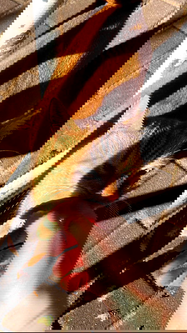 feelbetterinmysweater feelbetterinmysweater archive image