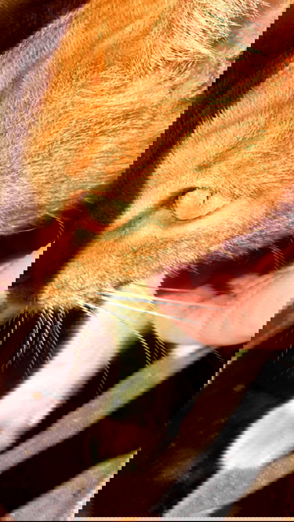 feelbetterinmysweater feelbetterinmysweater archive image