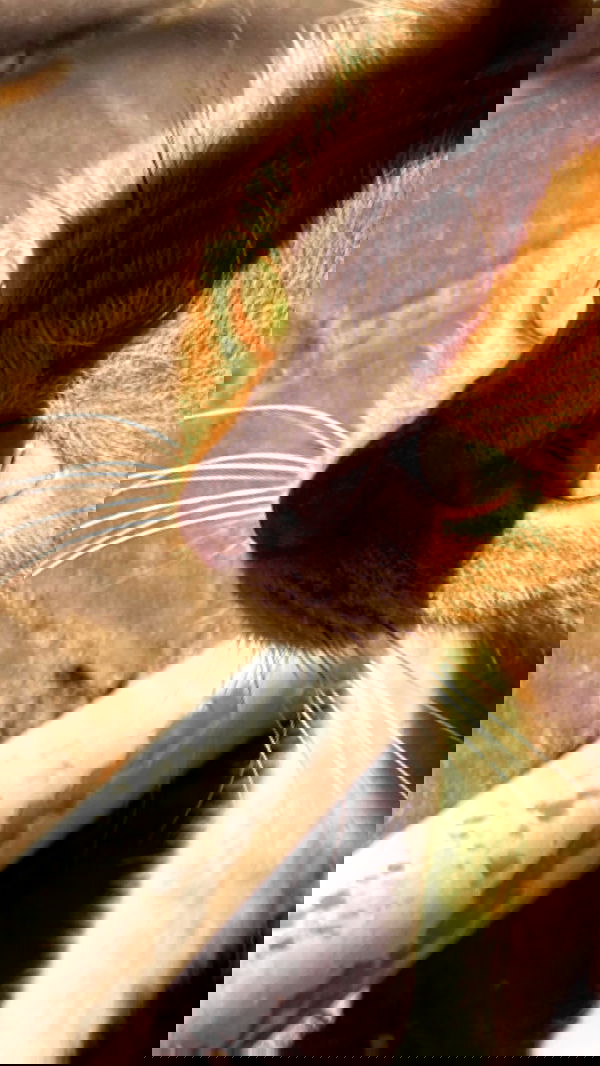 feelbetterinmysweater feelbetterinmysweater archive image