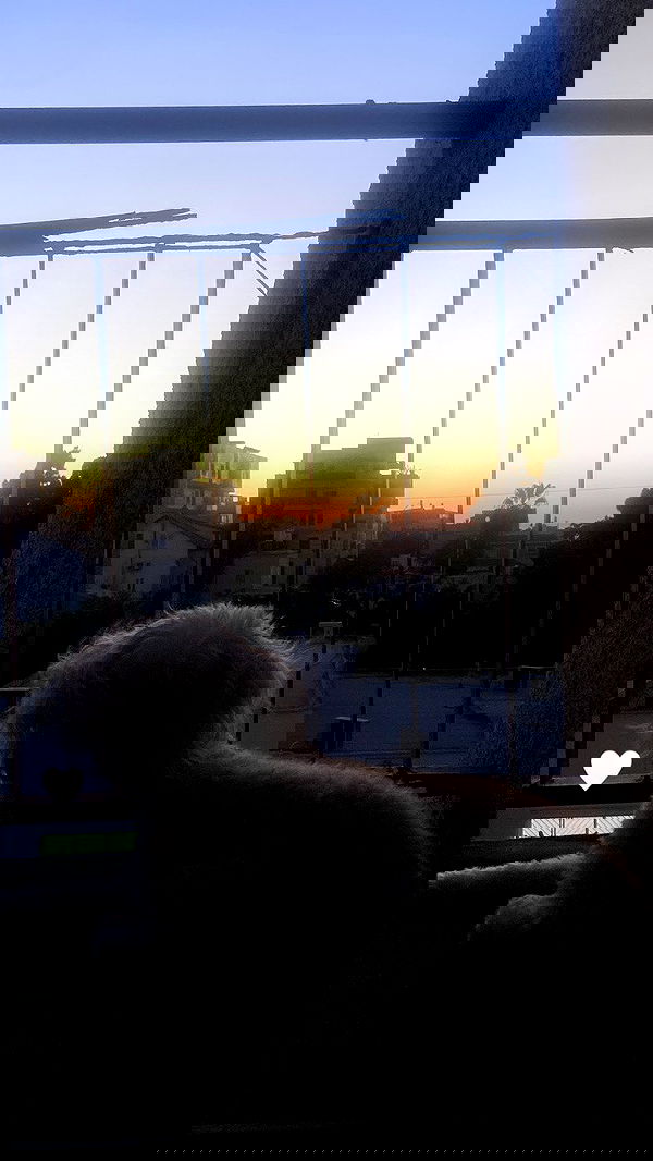 feelbetterinmysweater feelbetterinmysweater archive image