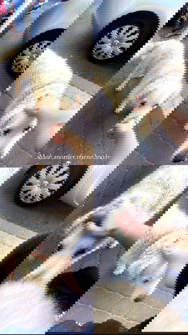 feelbetterinmysweater feelbetterinmysweater archive image