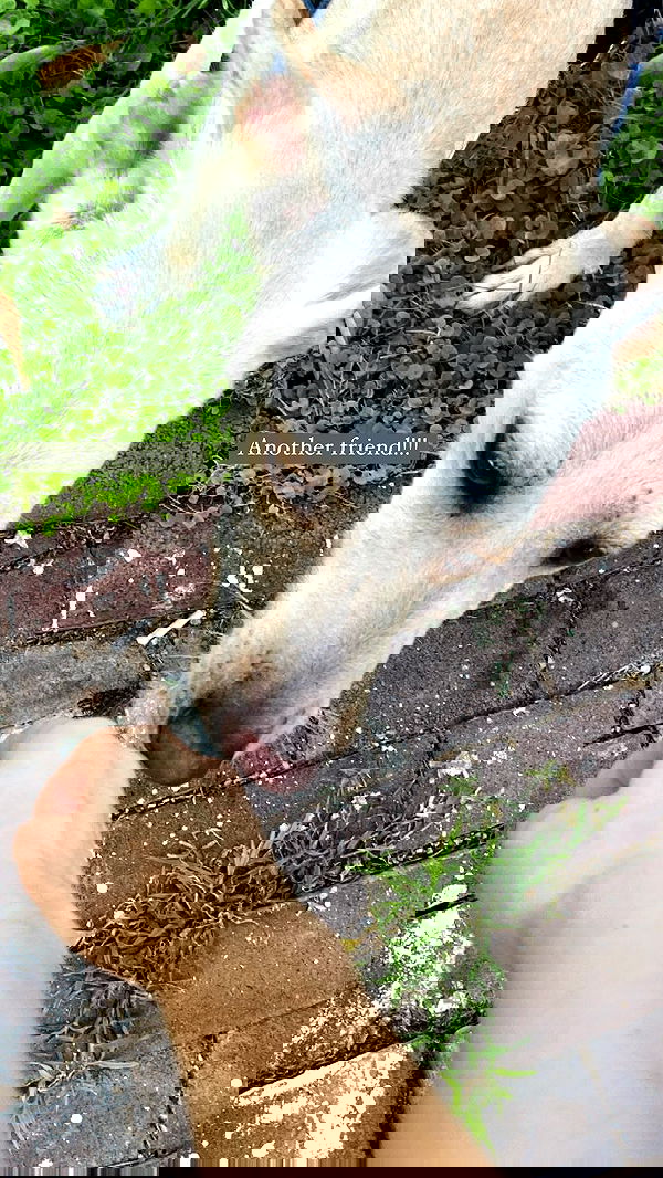 feelbetterinmysweater feelbetterinmysweater archive image