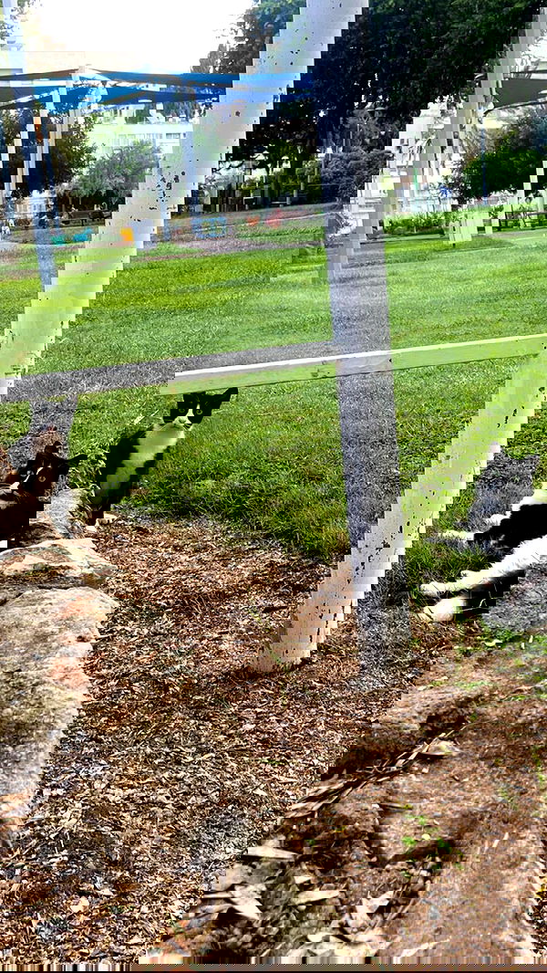 feelbetterinmysweater feelbetterinmysweater archive image