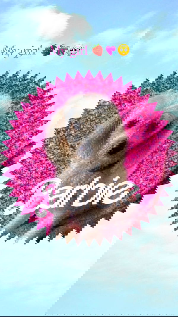 feelbetterinmysweater feelbetterinmysweater archive image