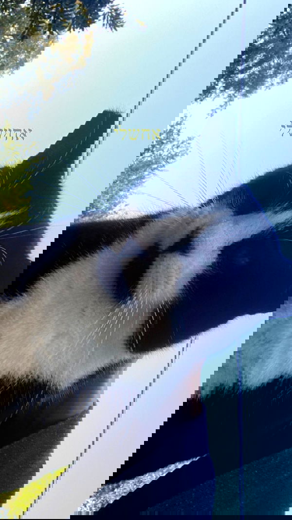 feelbetterinmysweater feelbetterinmysweater archive image