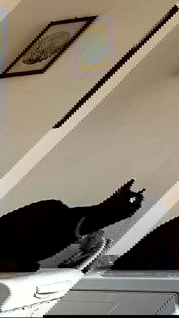 feelbetterinmysweater feelbetterinmysweater archive image