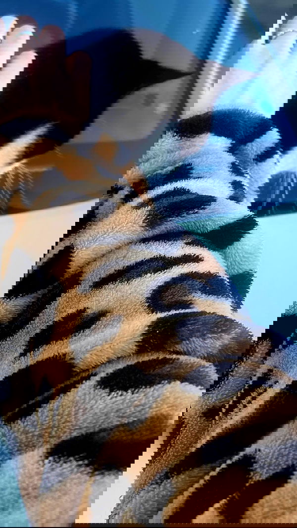 feelbetterinmysweater feelbetterinmysweater archive image