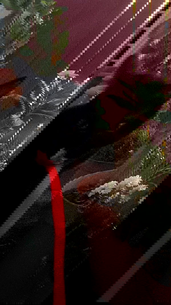 feelbetterinmysweater feelbetterinmysweater archive image