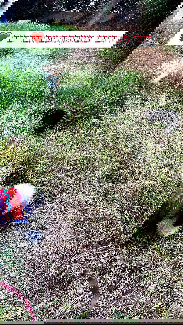 feelbetterinmysweater feelbetterinmysweater archive image