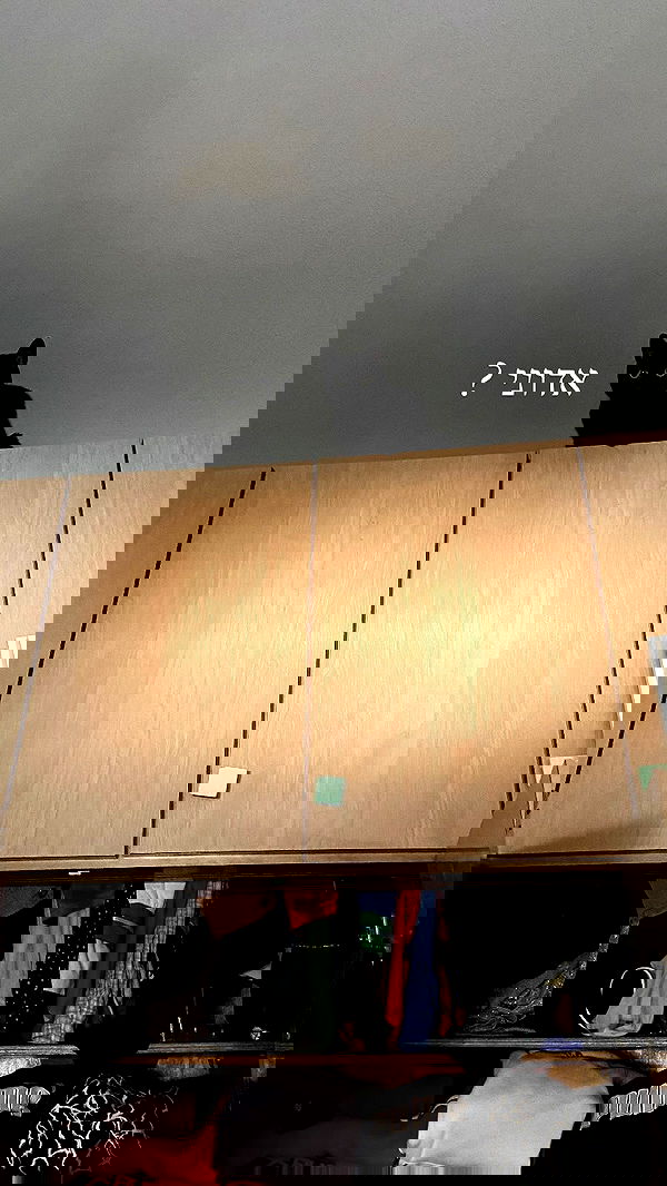 feelbetterinmysweater feelbetterinmysweater archive image