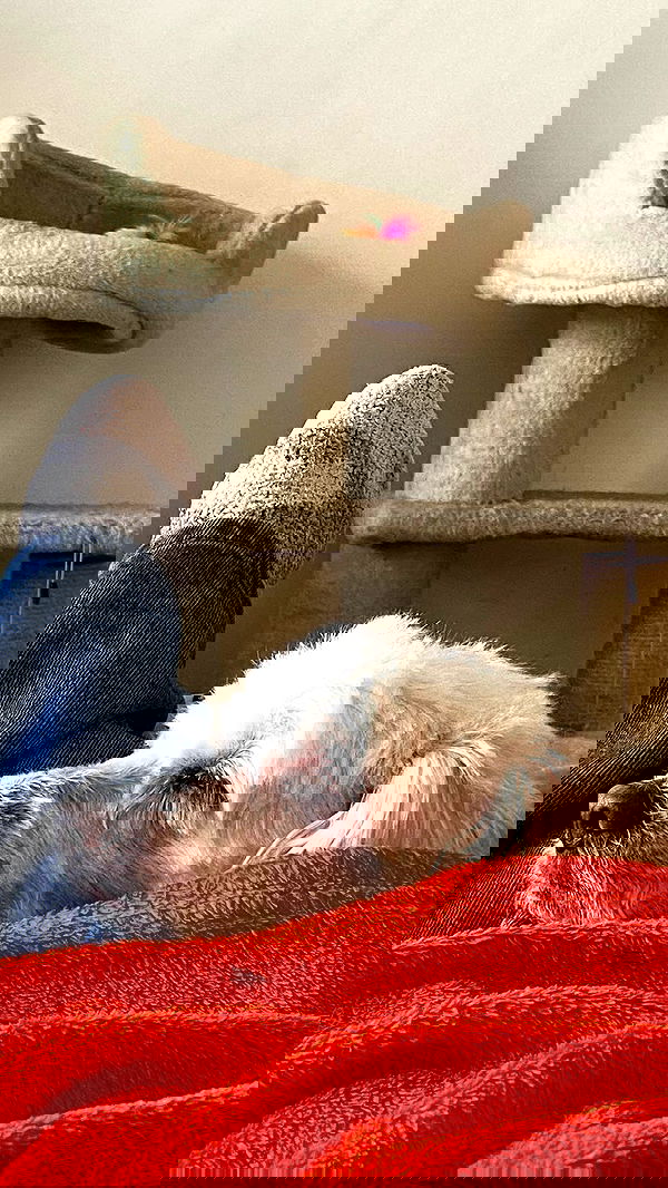 feelbetterinmysweater feelbetterinmysweater archive image