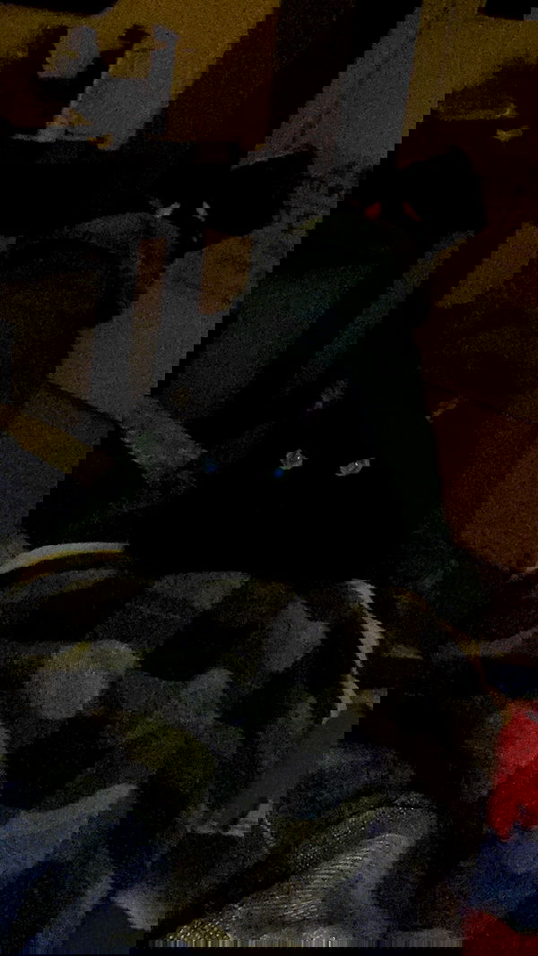 feelbetterinmysweater feelbetterinmysweater archive image