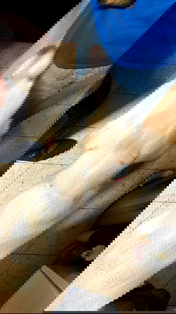 feelbetterinmysweater feelbetterinmysweater archive image