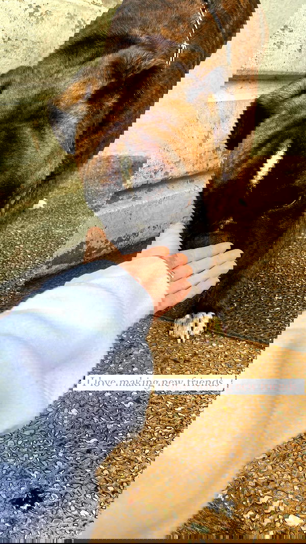 feelbetterinmysweater feelbetterinmysweater archive image