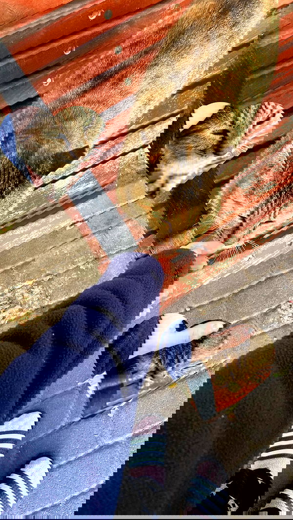 feelbetterinmysweater feelbetterinmysweater archive image