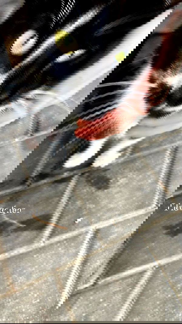 feelbetterinmysweater feelbetterinmysweater archive image