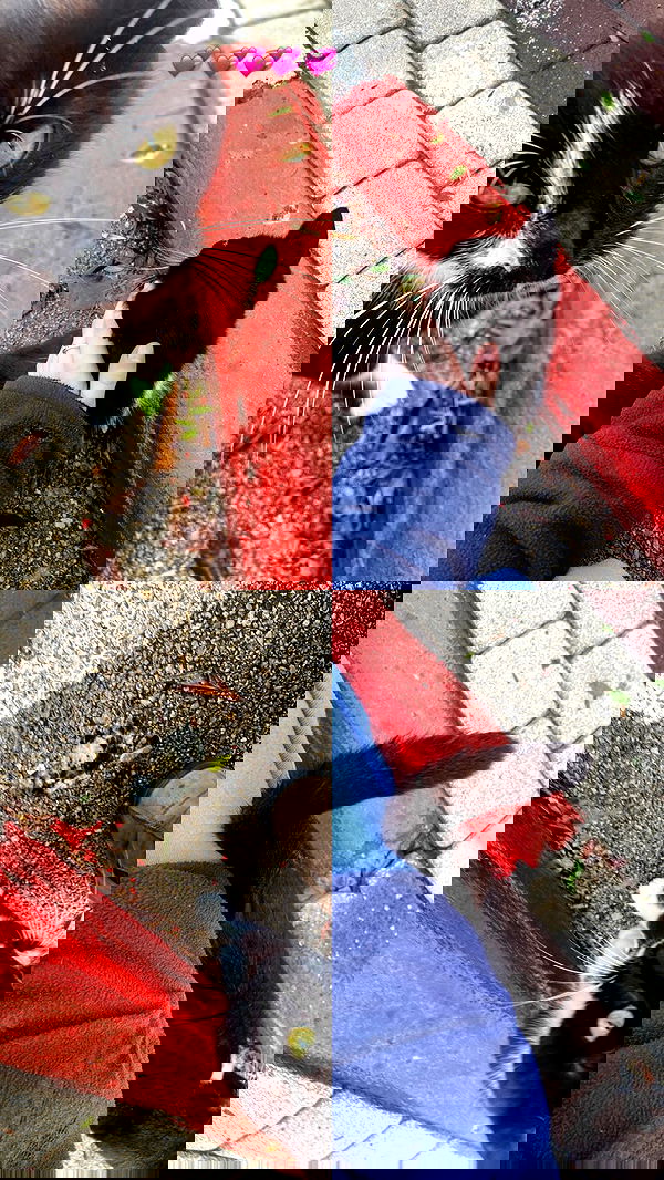 feelbetterinmysweater feelbetterinmysweater archive image