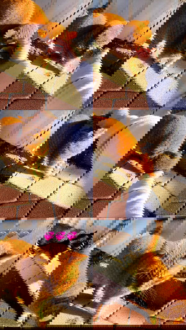 feelbetterinmysweater feelbetterinmysweater archive image