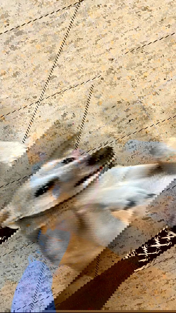 feelbetterinmysweater feelbetterinmysweater archive image