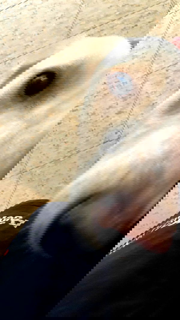 feelbetterinmysweater feelbetterinmysweater archive image