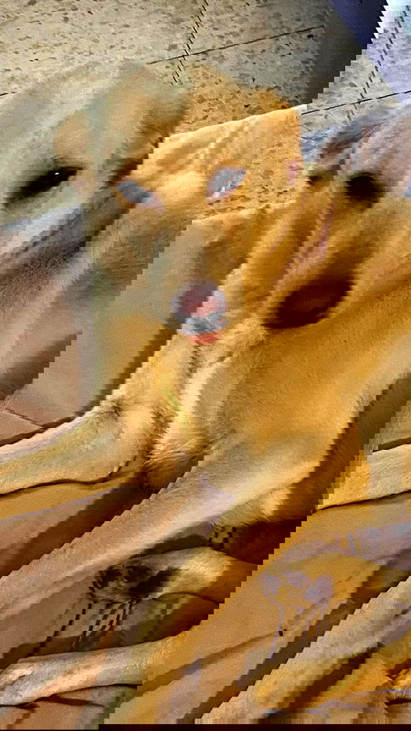 feelbetterinmysweater feelbetterinmysweater archive image