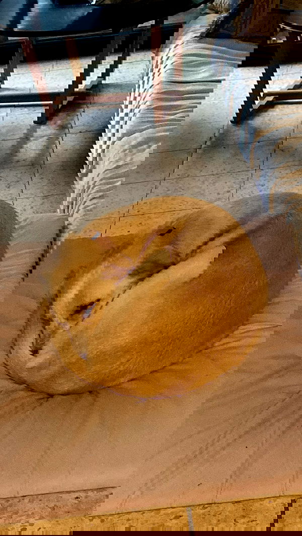 feelbetterinmysweater feelbetterinmysweater archive image