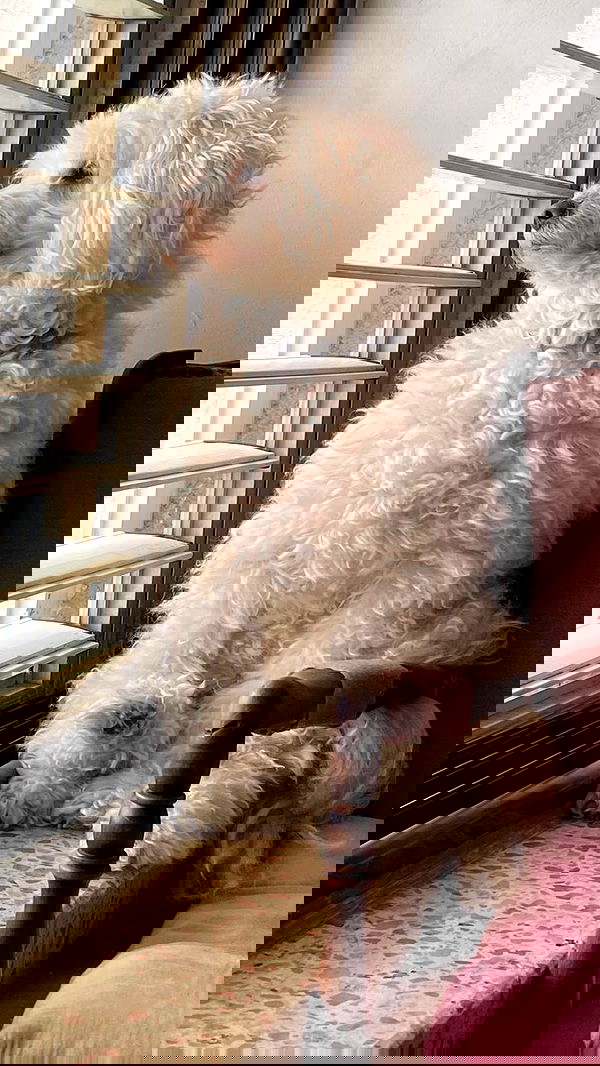 feelbetterinmysweater feelbetterinmysweater archive image