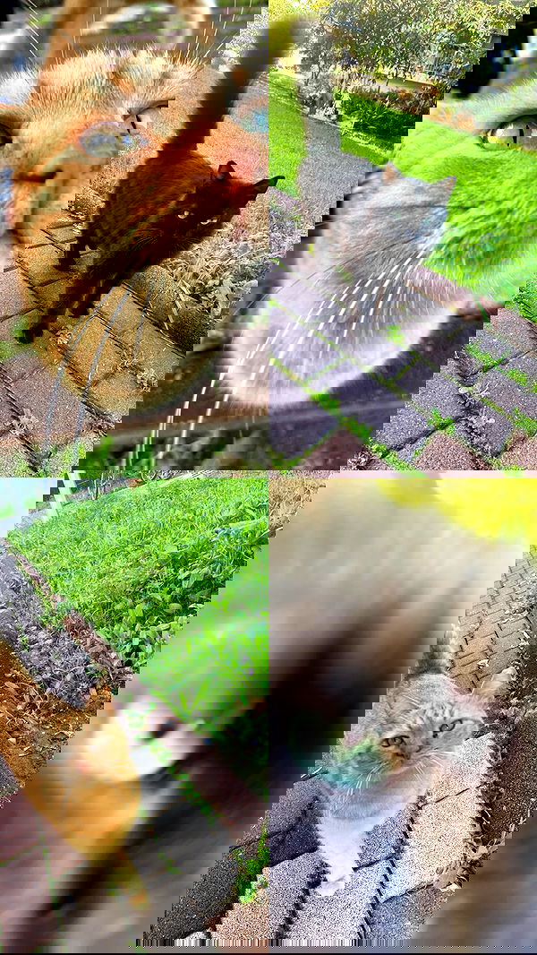 feelbetterinmysweater feelbetterinmysweater archive image