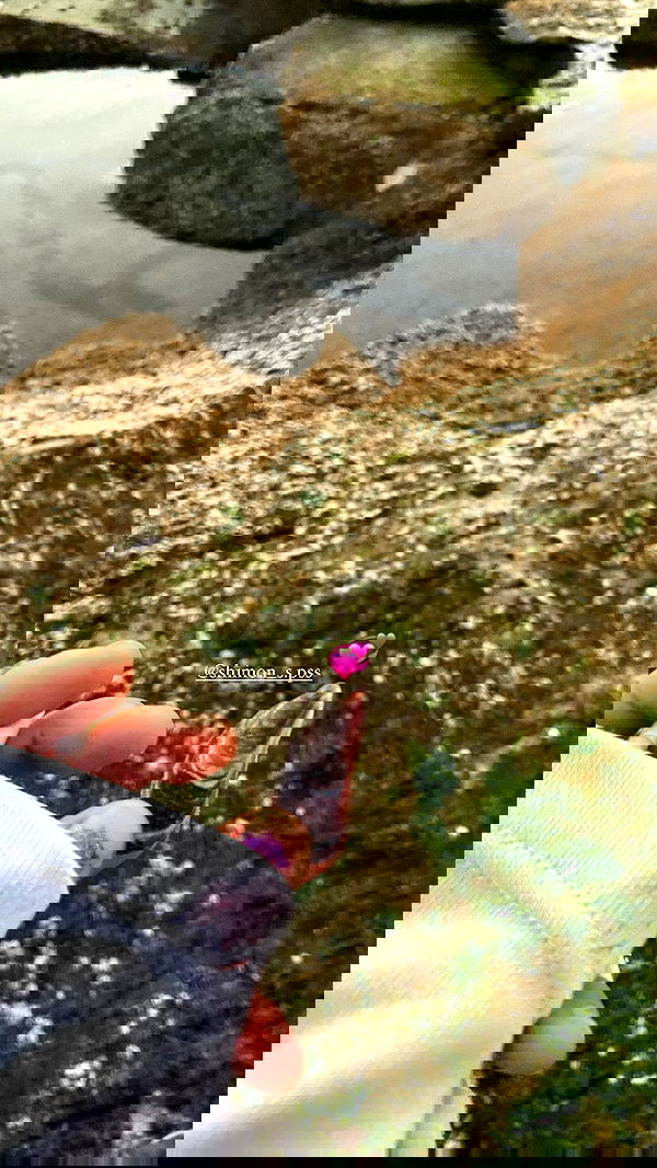 feelbetterinmysweater feelbetterinmysweater archive image