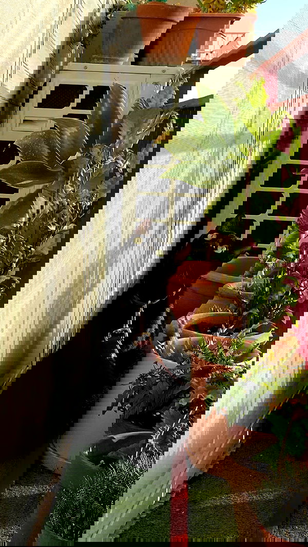 feelbetterinmysweater feelbetterinmysweater archive image