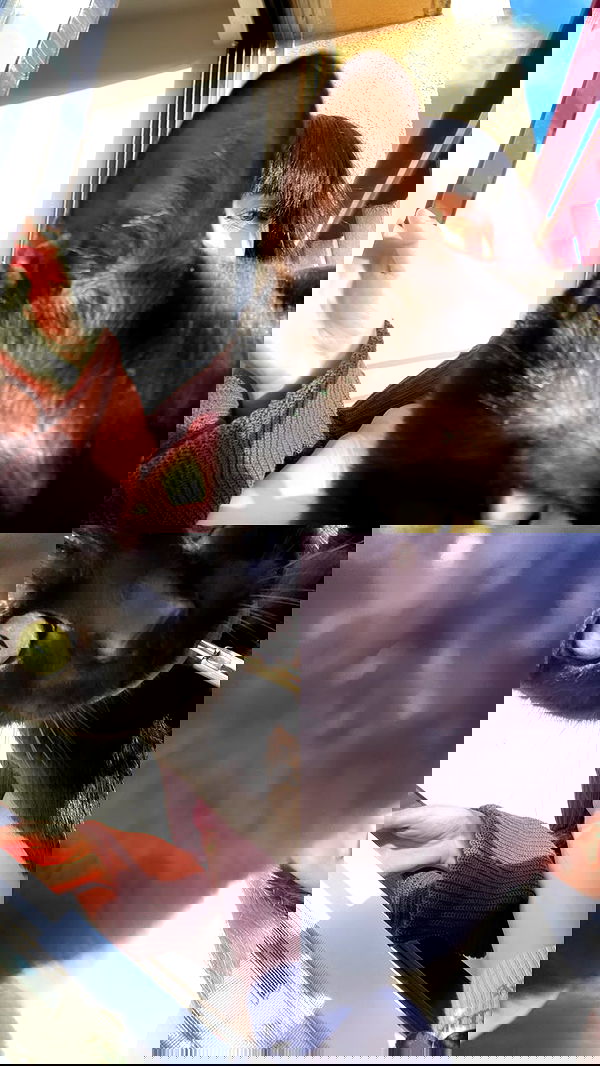 feelbetterinmysweater feelbetterinmysweater archive image