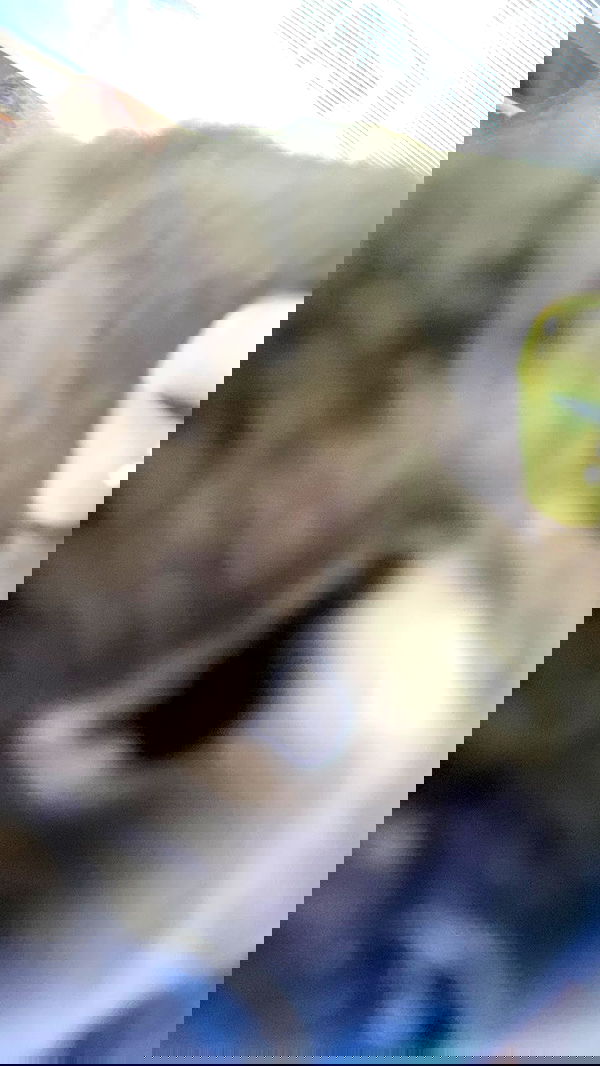 feelbetterinmysweater feelbetterinmysweater archive image