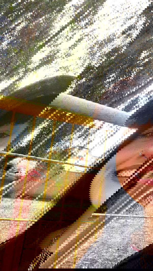 feelbetterinmysweater feelbetterinmysweater archive image