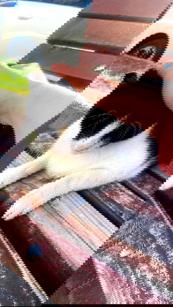 feelbetterinmysweater feelbetterinmysweater archive image