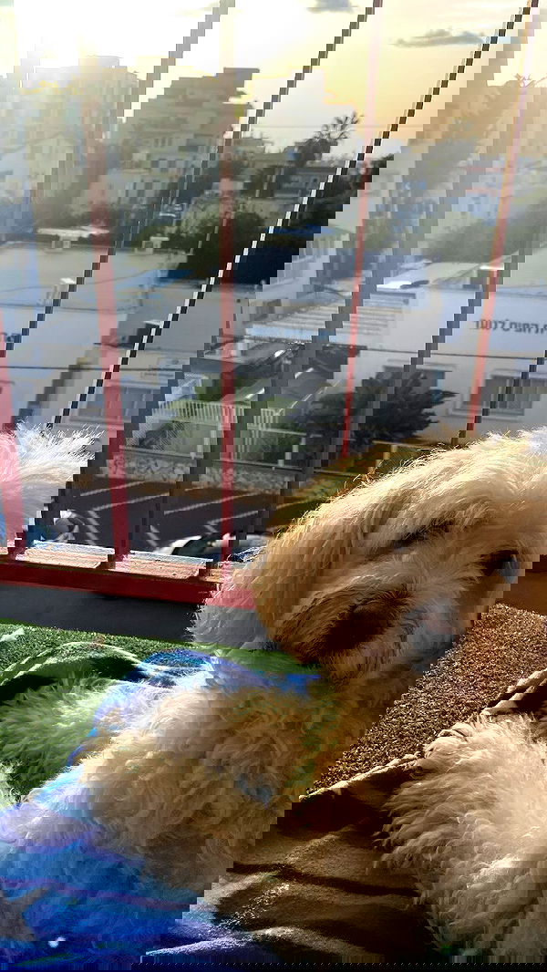 feelbetterinmysweater feelbetterinmysweater archive image