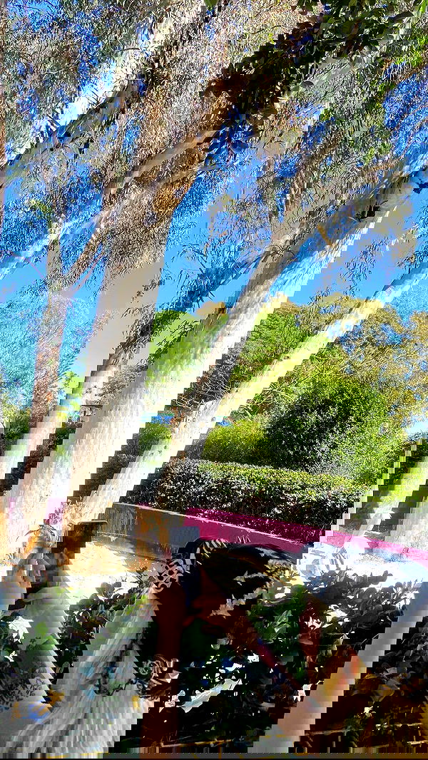 feelbetterinmysweater feelbetterinmysweater archive image