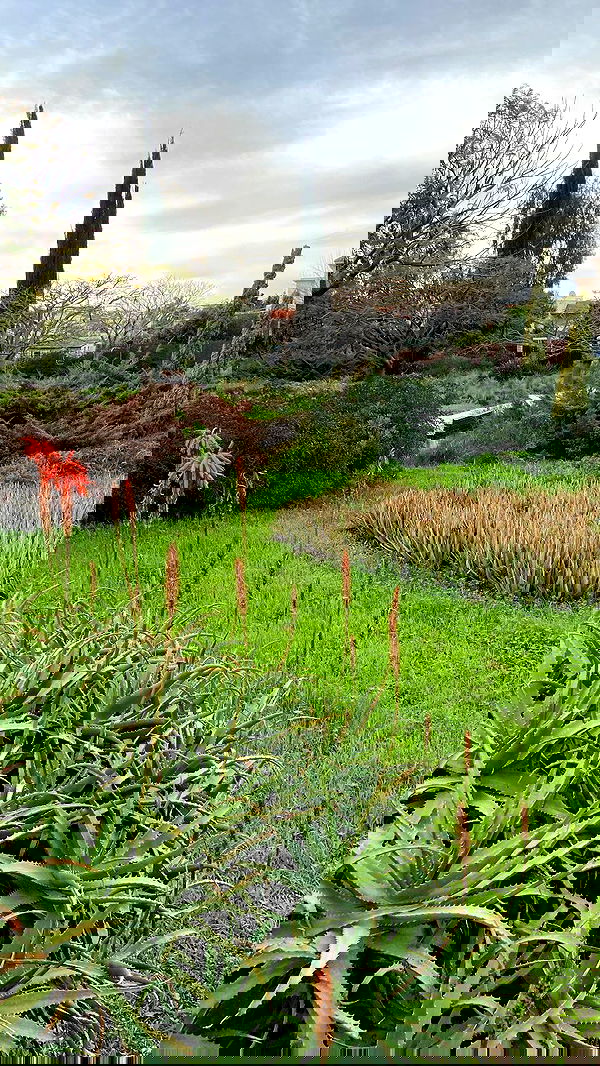 feelbetterinmysweater feelbetterinmysweater archive image