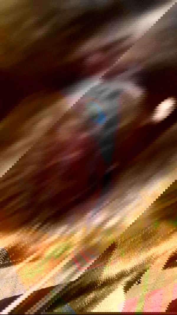 feelbetterinmysweater feelbetterinmysweater archive image