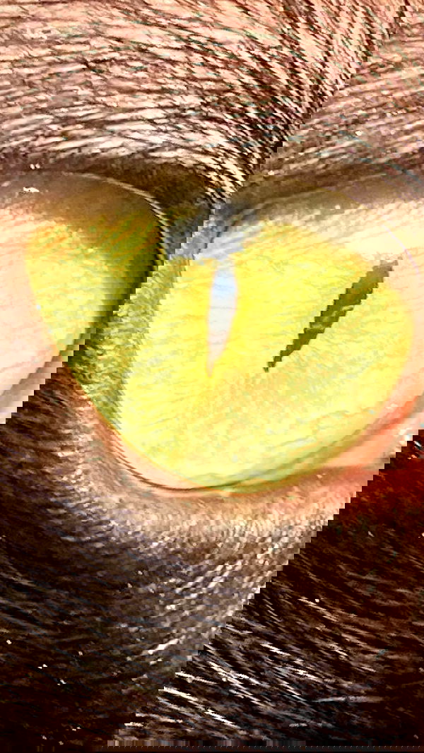 feelbetterinmysweater feelbetterinmysweater archive image