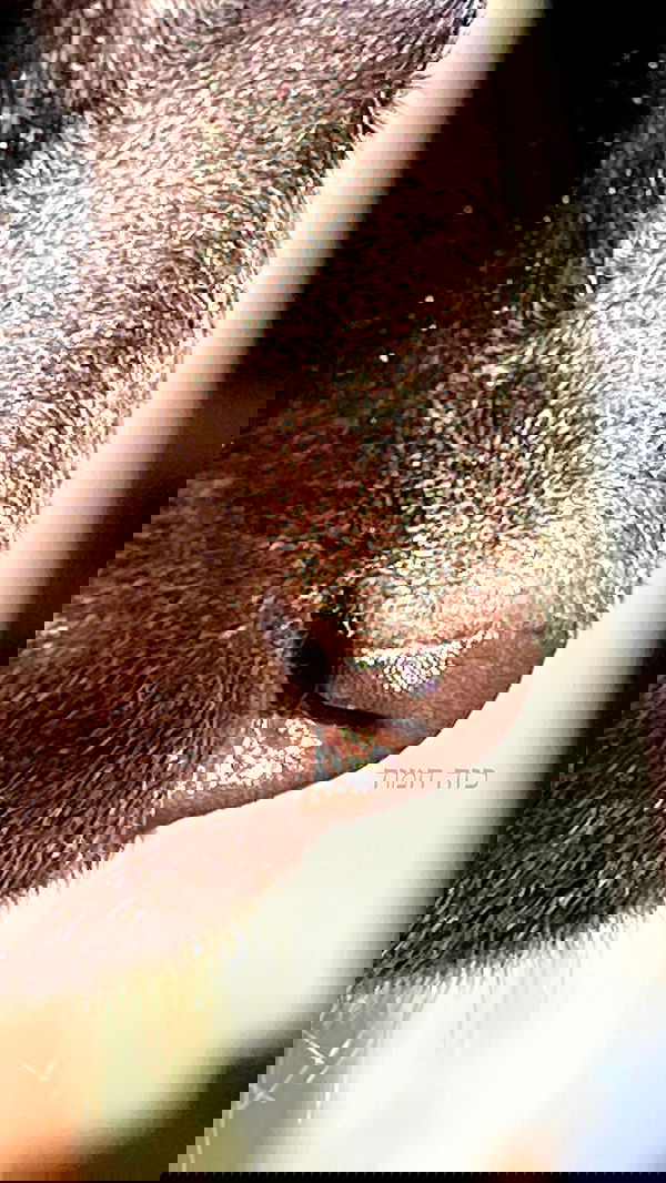 feelbetterinmysweater feelbetterinmysweater archive image