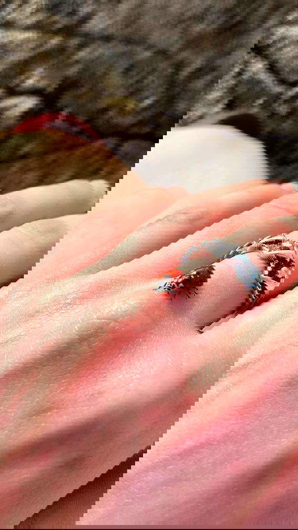 feelbetterinmysweater feelbetterinmysweater archive image