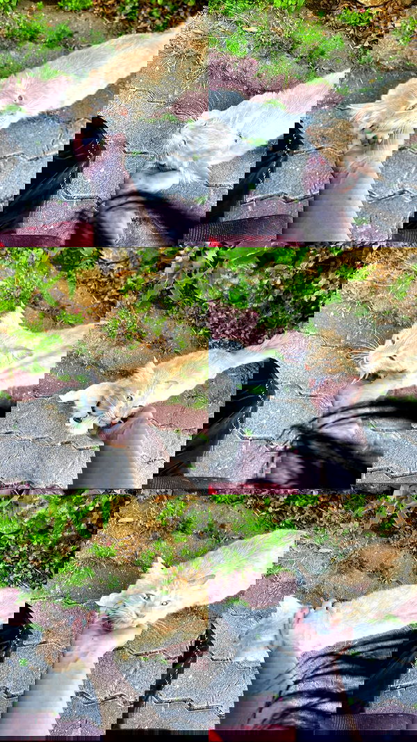 feelbetterinmysweater feelbetterinmysweater archive image