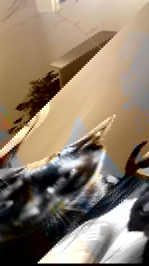 feelbetterinmysweater feelbetterinmysweater archive image