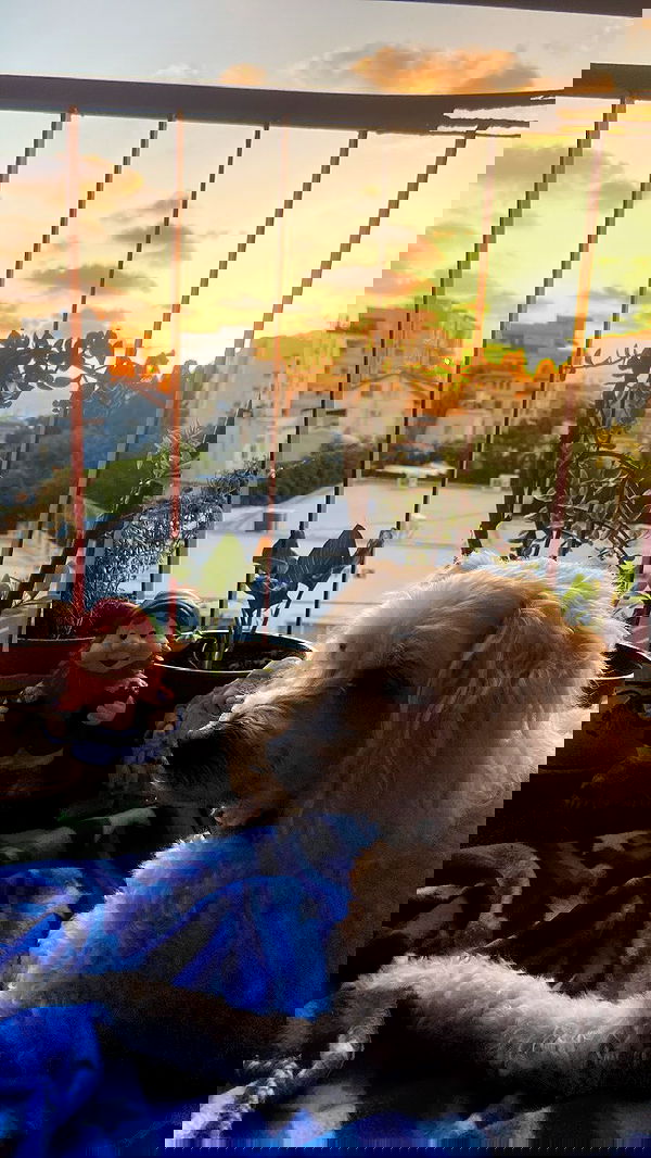 feelbetterinmysweater feelbetterinmysweater archive image